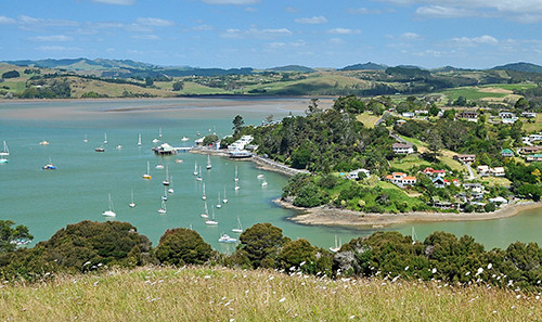 Mangonui