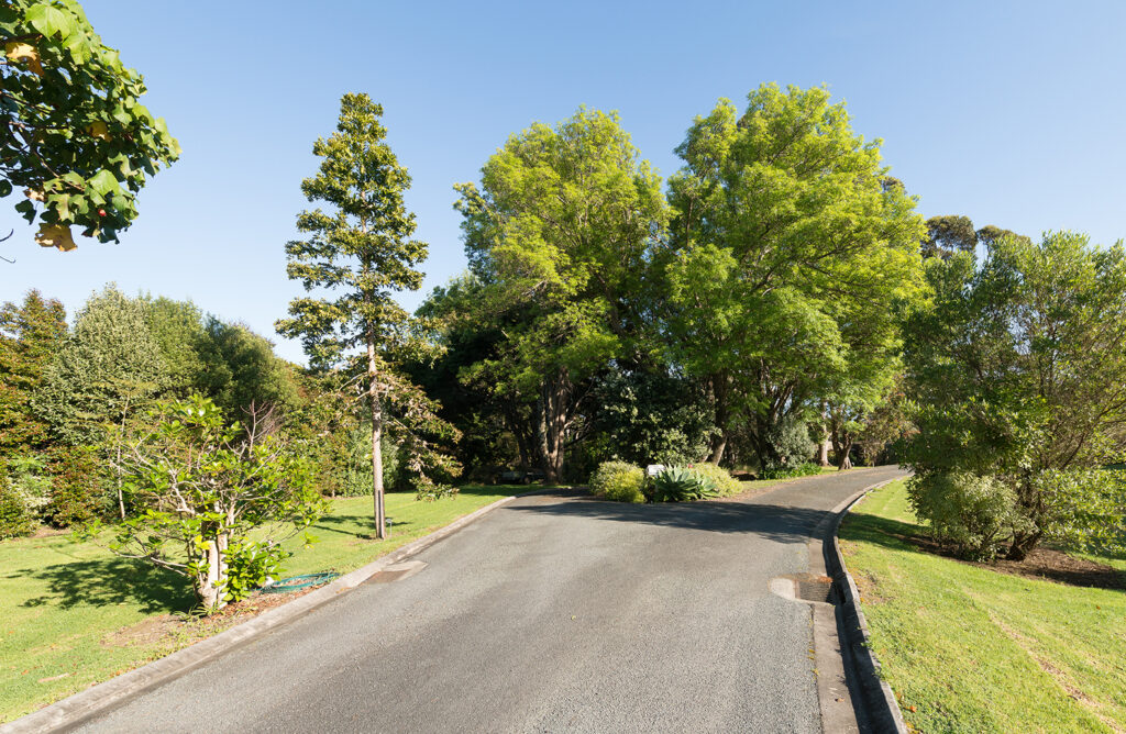 driveway and orchard at sanctuary in the cove