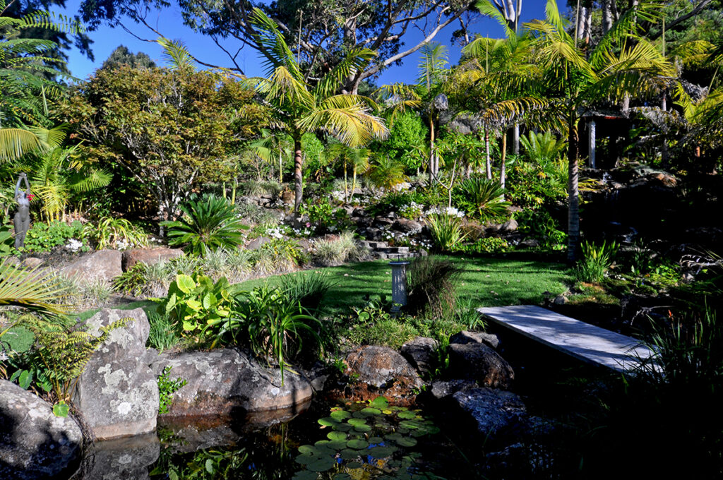 pond in landscaped garden sanctuary in the cove