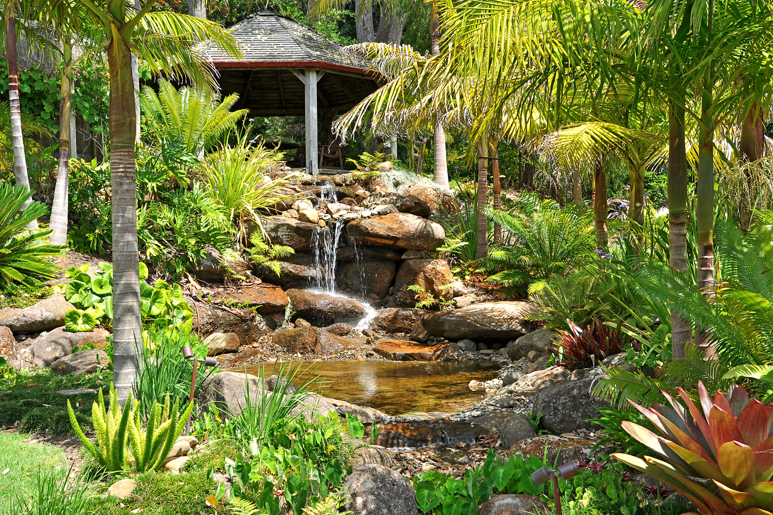 waterfall at sanctuary in the cove coopers beach