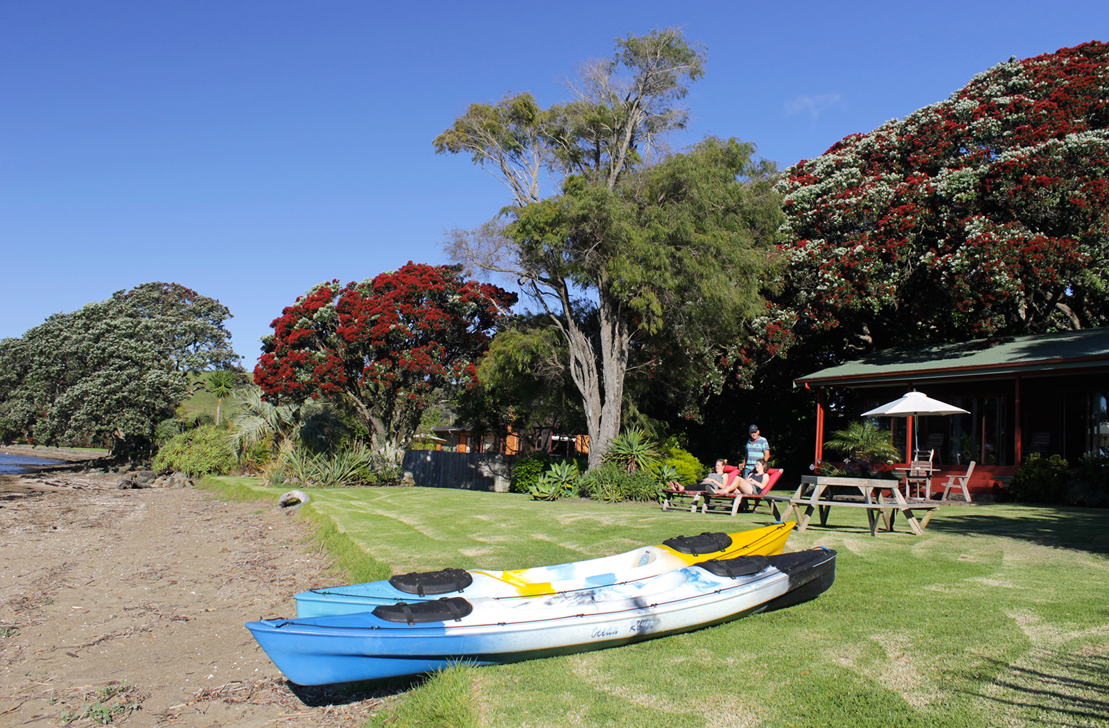 sanctuary in the cove coopers beach holiday cottages