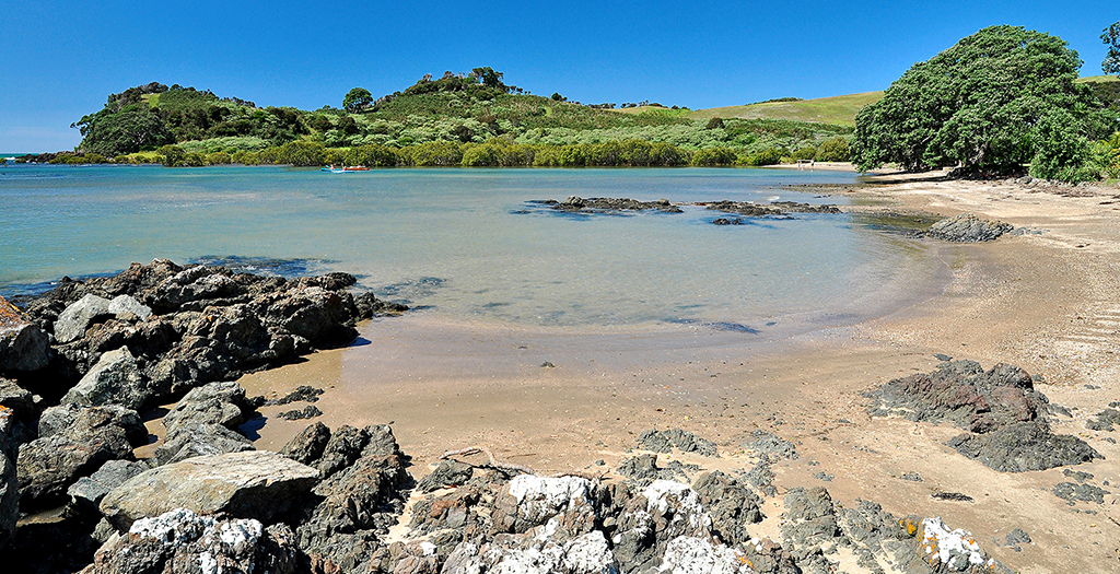 Secluded sanctuary in the cove coopers beach